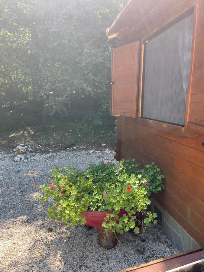 Carpe Diem Retafani Roger'S House 알티피아니 디 아르치나초 외부 사진